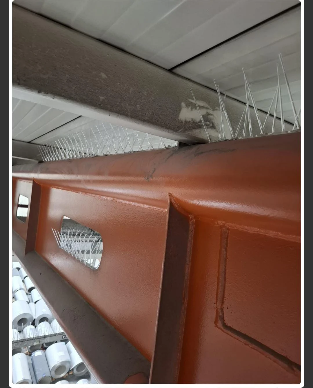 Balkon ve yazlık için kuş konmaz tel